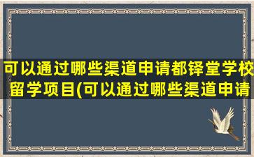 可以通过哪些渠道申请都铎堂学校留学项目(可以通过哪些渠道申请都铎堂学校留学签证)