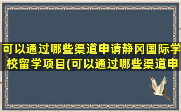 可以通过哪些渠道申请静冈国际学校留学项目(可以通过哪些渠道申请静冈国际学校留学签证)