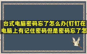 台式电脑密码忘了怎么办(钉钉在电脑上有记住密码但是密码忘了怎么找回)