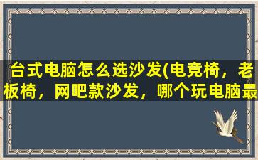 台式电脑怎么选沙发(电竞椅，老板椅，网吧款沙发，哪个玩电脑最舒服)