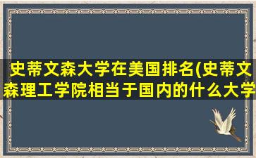 史蒂文森大学在美国排名(史蒂文森理工学院相当于国内的什么大学)