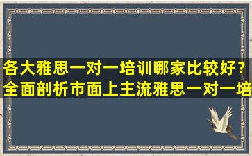 各大雅思一对一培训哪家比较好？全面剖析市面上主流雅思一对一培训机构的优缺点