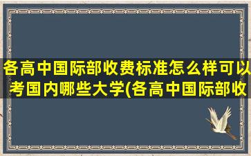 各高中国际部收费标准怎么样可以考国内哪些大学(各高中国际部收费标准比较学费)