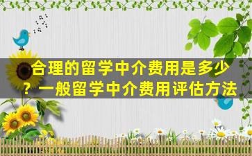 合理的留学中介费用是多少？一般留学中介费用评估方法