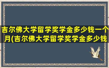 吉尔佛大学留学奖学金多少钱一个月(吉尔佛大学留学奖学金多少钱)