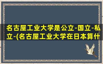 名古屋工业大学是公立-国立-私立-(名古屋工业大学在日本算什么档次)