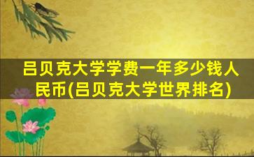 吕贝克大学学费一年多少钱人民币(吕贝克大学世界排名)