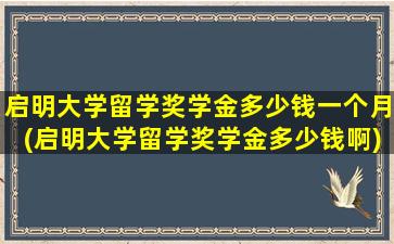 启明大学留学奖学金多少钱一个月(启明大学留学奖学金多少钱啊)