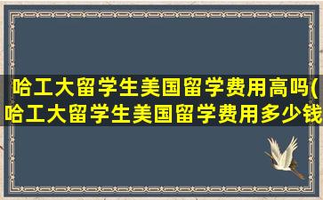 哈工大留学生美国留学费用高吗(哈工大留学生美国留学费用多少钱)