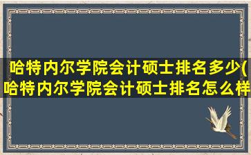 哈特内尔学院会计硕士排名多少(哈特内尔学院会计硕士排名怎么样)