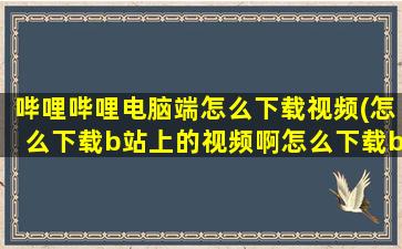 哔哩哔哩电脑端怎么下载视频(怎么下载b站上的视频啊怎么下载b站上的视)