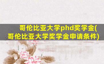 哥伦比亚大学phd奖学金(哥伦比亚大学奖学金申请条件)