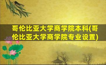 哥伦比亚大学商学院本科(哥伦比亚大学商学院专业设置)