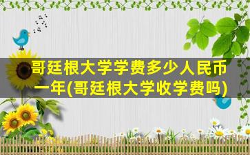 哥廷根大学学费多少人民币一年(哥廷根大学收学费吗)