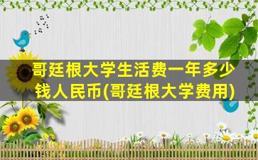 哥廷根大学生活费一年多少钱人民币(哥廷根大学费用)