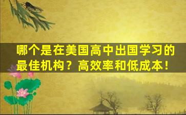 哪个是在美国高中出国学习的最佳机构？高效率和低成本！