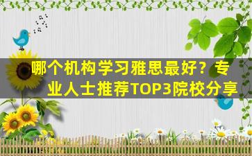 哪个机构学习雅思最好？专业人士推荐TOP3院校分享