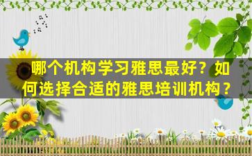 哪个机构学习雅思最好？如何选择合适的雅思培训机构？