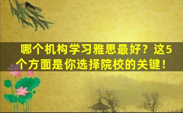 哪个机构学习雅思最好？这5个方面是你选择院校的关键！