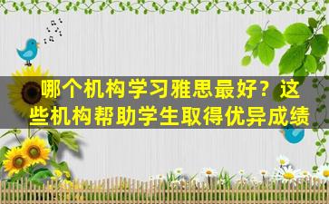 哪个机构学习雅思最好？这些机构帮助学生取得优异成绩