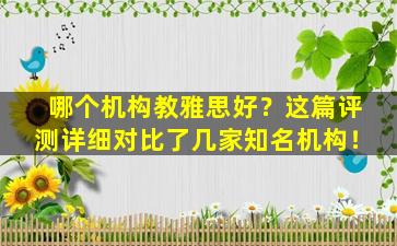 哪个机构教雅思好？这篇评测详细对比了几家知名机构！