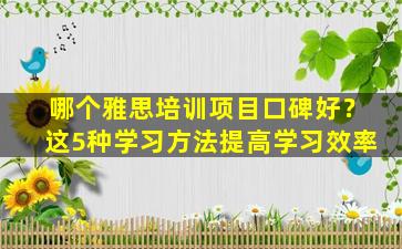 哪个雅思培训项目口碑好？这5种学习方法提高学习效率