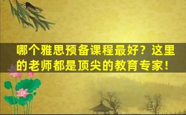 哪个雅思预备课程最好？这里的老师都是顶尖的教育专家！