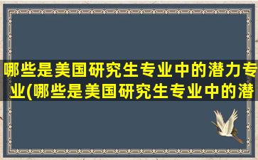 哪些是美国研究生专业中的潜力专业(哪些是美国研究生专业中的潜力专业英文)