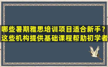 哪些暑期雅思培训项目适合新手？这些机构提供基础课程帮助初学者入门