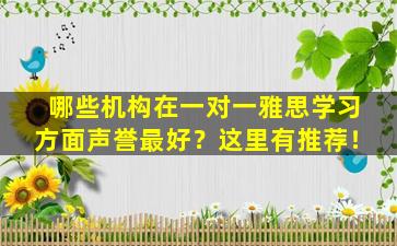 哪些机构在一对一雅思学习方面声誉最好？这里有推荐！