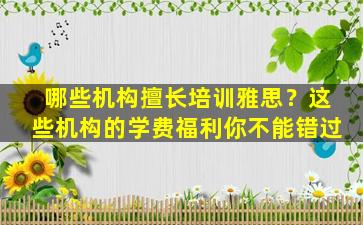 哪些机构擅长培训雅思？这些机构的学费福利你不能错过