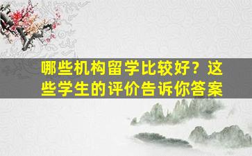 哪些机构留学比较好？这些学生的评价告诉你答案