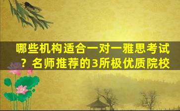 哪些机构适合一对一雅思考试？名师推荐的3所极优质院校