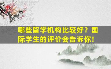 哪些留学机构比较好？国际学生的评价会告诉你！