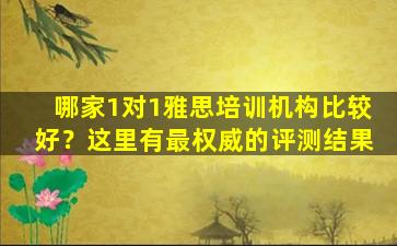 哪家1对1雅思培训机构比较好？这里有最权威的评测结果