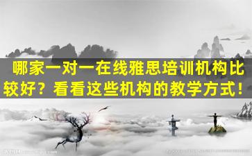 哪家一对一在线雅思培训机构比较好？看看这些机构的教学方式！