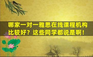 哪家一对一雅思在线课程机构比较好？这些同学都说是啊！