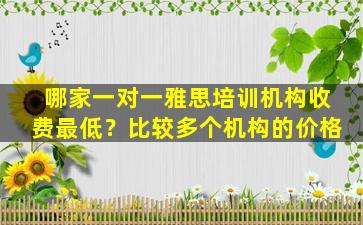 哪家一对一雅思培训机构收费最低？比较多个机构的价格