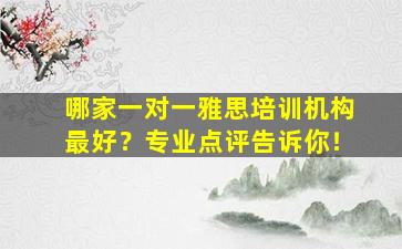 哪家一对一雅思培训机构最好？专业点评告诉你！