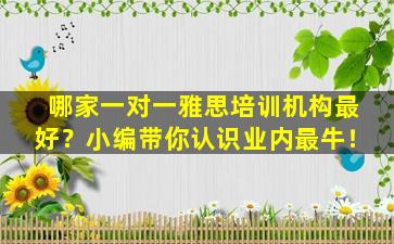 哪家一对一雅思培训机构最好？小编带你认识业内最牛！