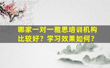 哪家一对一雅思培训机构比较好？学习效果如何？