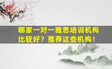 哪家一对一雅思培训机构比较好？推荐这些机构！