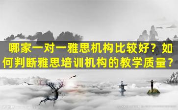 哪家一对一雅思机构比较好？如何判断雅思培训机构的教学质量？