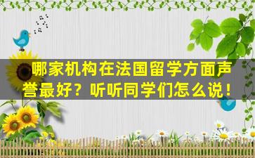 哪家机构在法国留学方面声誉最好？听听同学们怎么说！