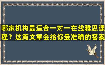 哪家机构最适合一对一在线雅思课程？这篇文章会给你最准确的答案！