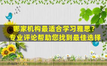 哪家机构最适合学习雅思？专业评论帮助您找到最佳选择