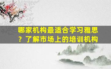 哪家机构最适合学习雅思？了解市场上的培训机构