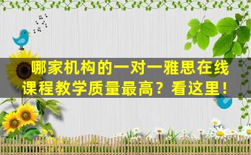 哪家机构的一对一雅思在线课程教学质量最高？看这里！