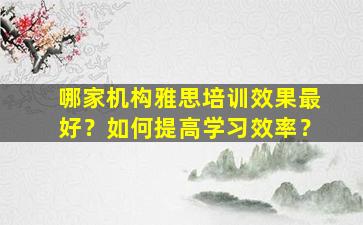 哪家机构雅思培训效果最好？如何提高学习效率？