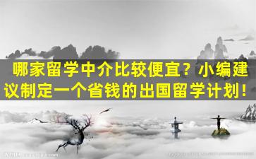 哪家留学中介比较便宜？小编建议制定一个省钱的出国留学计划！